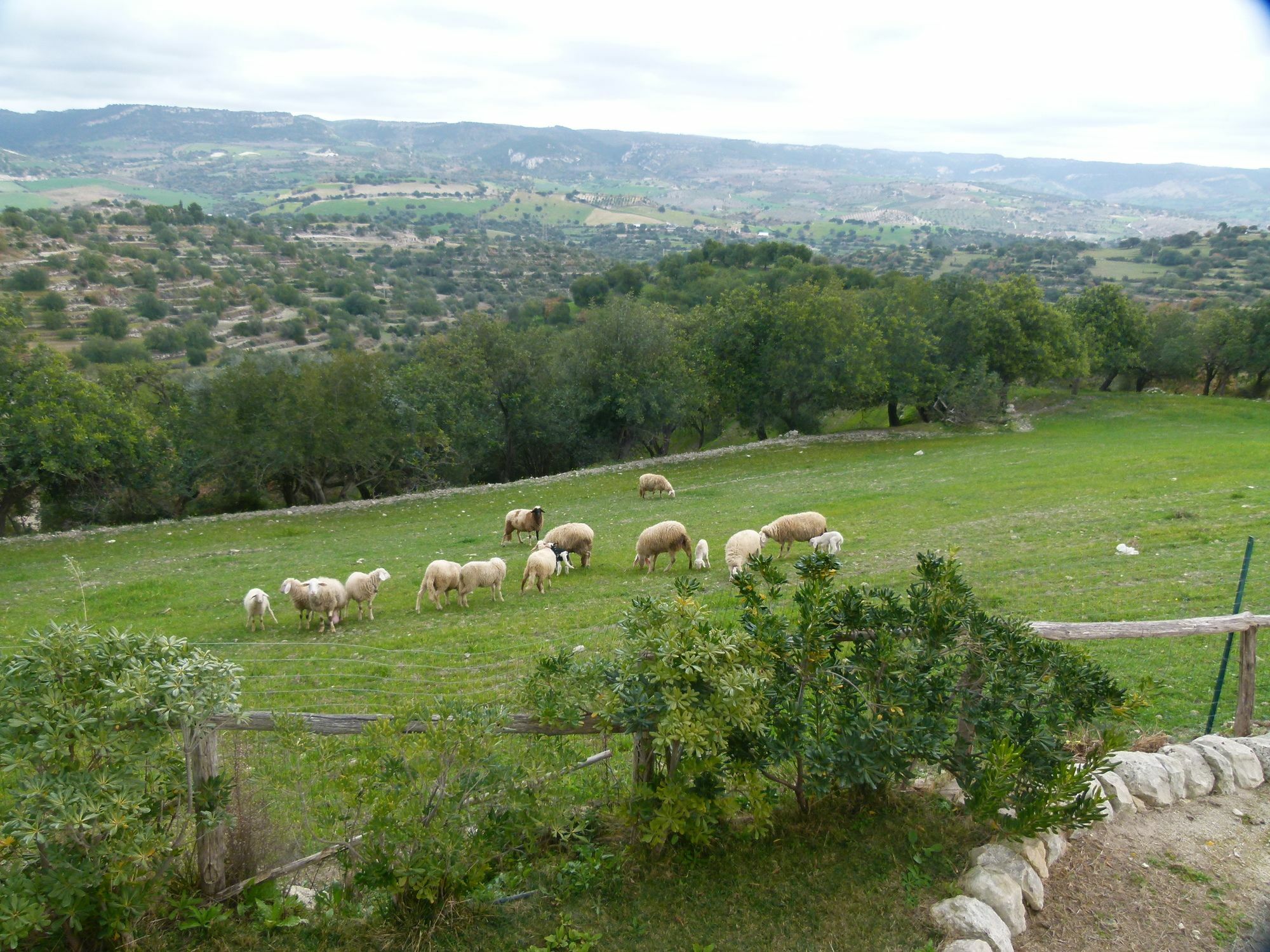 Agriturismo Villa Gaia Modica Exteriér fotografie