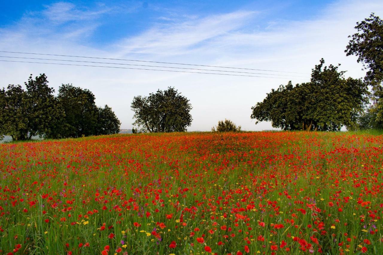 Agriturismo Villa Gaia Modica Exteriér fotografie